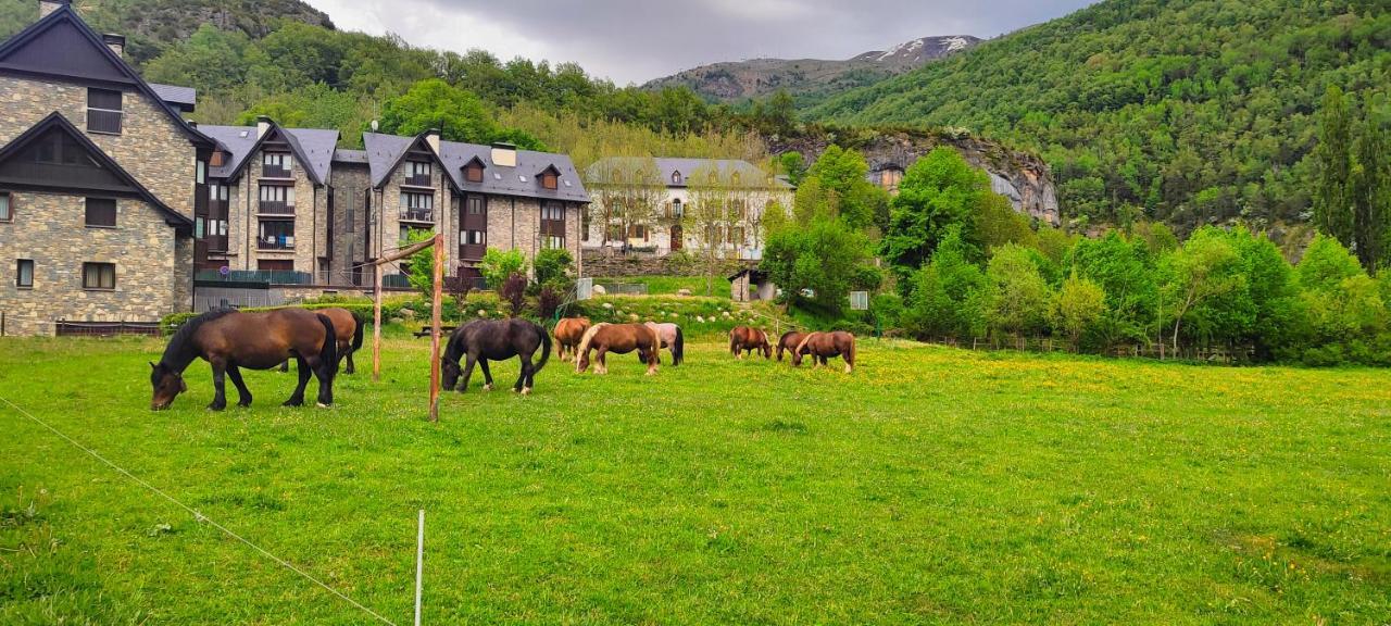 Los Cachorros El Pueyo de Jaca Exterior foto